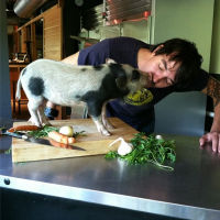 Le Petit Cochon’s Derek Ronspies – Interview v.6