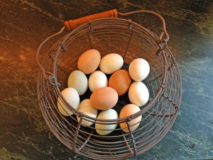 Raising Backyard Chickens for Dummies backyard chicken eggs 300x225 Raising Backyard Chickens for Dummies